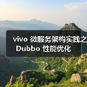 vivo 微服务架构实践之 Dubbo 性能优化(图2) vivo 微服务架构实践之 Dubbo 性能优化(图2)