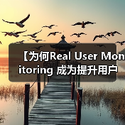 【为何Real User Monitoring 成为提升用户体验的秘密武器?】(图1) 【为何Real User Monitoring 成为提升用户体验的秘密武器?】(图1)