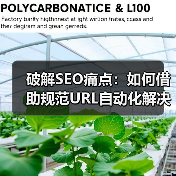 破解SEO痛点：如何借助规范URL自动化解决重复内容困扰（图3）