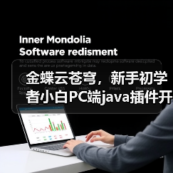 金蝶云苍穹，新手初学者小白PC端java插件开发教学示例（图2）