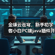 金蝶云苍穹，新手初学者小白PC端java插件开发教学示例（图4）