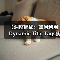 【深度揭秘：如何利用Dynamic Title Tags实现个性化内容优化】（图2）