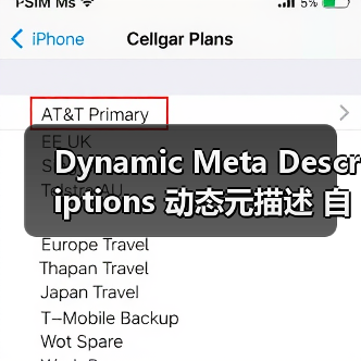 Dynamic Meta Descriptions 动态元描述 自动生成 吸引点击(图4) Dynamic Meta Descriptions 动态元描述 自动生成 吸引点击(图4)