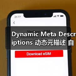 Dynamic Meta Descriptions 动态元描述 自动生成 吸引点击(图1) Dynamic Meta Descriptions 动态元描述 自动生成 吸引点击(图1)