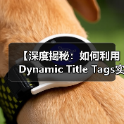 【深度揭秘：如何利用Dynamic Title Tags实现个性化内容优化】（图3）