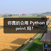 你真的会用 Python 的 print 吗?(图4) 你真的会用 Python 的 print 吗?(图4)
