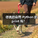 你真的会用 Python 的 print 吗?(图3) 你真的会用 Python 的 print 吗?(图3)