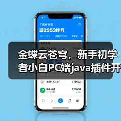 金蝶云苍穹，新手初学者小白PC端java插件开发教学示例（图2）