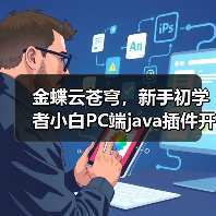 金蝶云苍穹，新手初学者小白PC端java插件开发教学示例（图3）