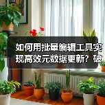 如何用批量编辑工具实现高效元数据更新？破解效率工具的秘密（图2）