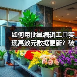 如何用批量编辑工具实现高效元数据更新？破解效率工具的秘密（图3）