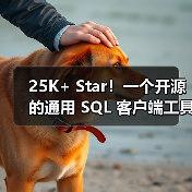 25K+ Star！一个开源的通用 SQL 客户端工具！（图2）