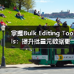 掌握Bulk Editing Tools：提升批量元数据更新的效率秘密（图1）