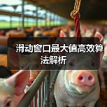 滑动窗口最大值高效算法解析(图3) 滑动窗口最大值高效算法解析(图3)