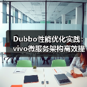 Dubbo性能优化实践：vivo微服务架构高效提升之道（图3）