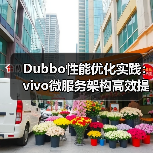 Dubbo性能优化实践：vivo微服务架构高效提升之道（图2）