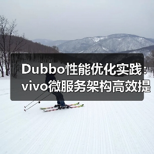 Dubbo性能优化实践：vivo微服务架构高效提升之道（图4）