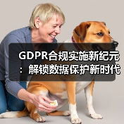 GDPR合规实施新纪元：解锁数据保护新时代的秘密武器（图1）
