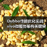 Dubbo性能优化实战：vivo微服务架构关键突破（图2）