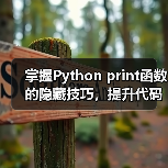 掌握Python print函数的隐藏技巧,提升代码效率!(图3) 掌握Python print函数的隐藏技巧,提升代码效率!(图3)