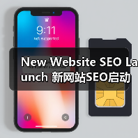 New Website SEO Launch 新网站SEO启动 从零开始 快速成长(图3) New Website SEO Launch 新网站SEO启动 从零开始 快速成长(图3)