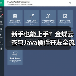 新手也能上手？金蝶云苍穹Java插件开发全流程解析（图3）