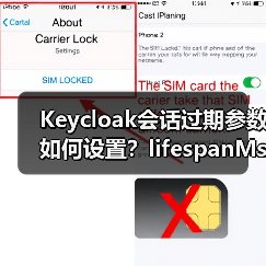 Keycloak会话过期参数如何设置？lifespanMs与maxIdleTimeMs详解（图3）