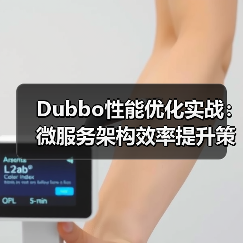 Dubbo性能优化实战：微服务架构效率提升策略（图3）