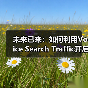未来已来:如何利用Voice Search Traffic开启新兴渠道的成功密码(图1) 未来已来:如何利用Voice Search Traffic开启新兴渠道的成功密码(图1)