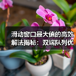 滑动窗口最大值的高效解法揭秘：双端队列优化（图3）