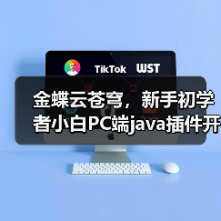 金蝶云苍穹,新手初学者小白PC端java插件开发教学示例(图2) 金蝶云苍穹,新手初学者小白PC端java插件开发教学示例(图2)