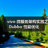 vivo 微服务架构实践之 Dubbo 性能优化(图4) vivo 微服务架构实践之 Dubbo 性能优化(图4)