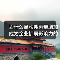 为什么品牌搜索量增加成为企业扩展影响力的秘密武器?(图1) 为什么品牌搜索量增加成为企业扩展影响力的秘密武器?(图1)