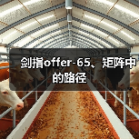剑指offer-65、矩阵中的路径（图2）